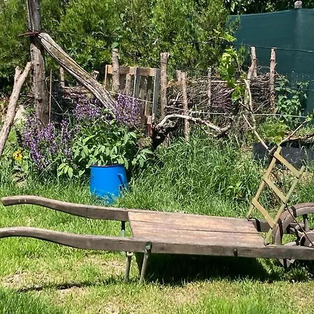 아파트 Vadviragos