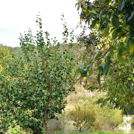 Vadviragos Igal