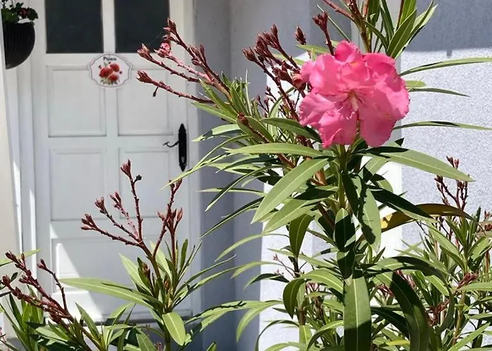 Lejlighed Vadviragos